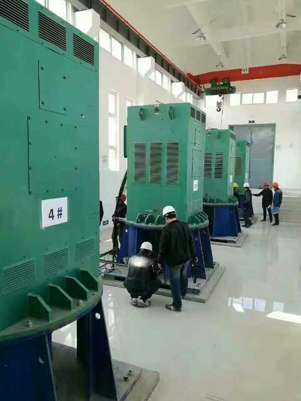 邵东某污水处理厂使用我厂的立式高压电机安装现场