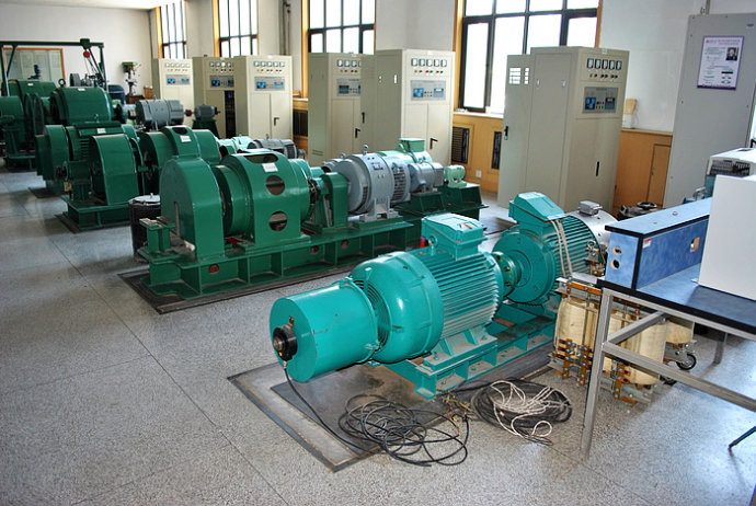 邵东某热电厂使用我厂的YKK高压电机提供动力